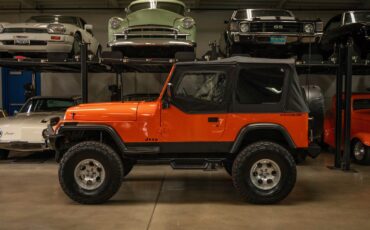 Jeep-Wrangler-Custom-1994-SUV-5