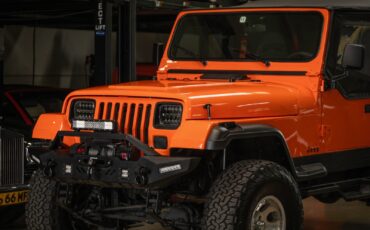 Jeep-Wrangler-Custom-1994-SUV-7
