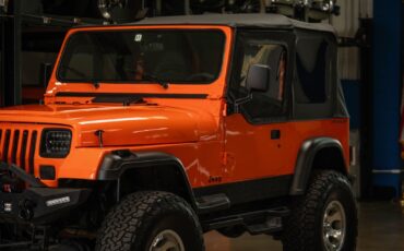 Jeep-Wrangler-Custom-1994-SUV-8