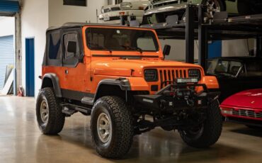 Jeep-Wrangler-Custom-1994-SUV-9