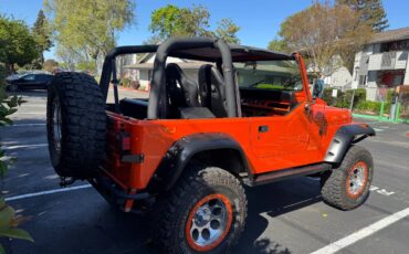 Jeep-Wrangler-s-1995-orange-12
