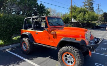 Jeep-Wrangler-s-1995-orange-4