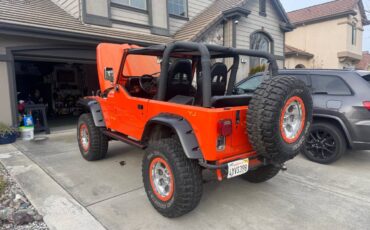 Jeep-Wrangler-s-1995-orange-9