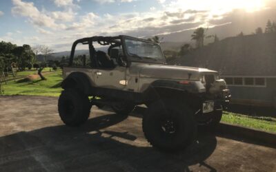 Jeep Yj  1994 brown