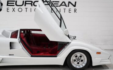 Lamborghini-Countach-1989-33
