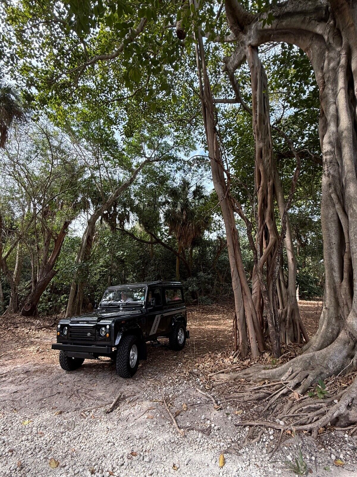 Land-Rover-Defender-1993-9