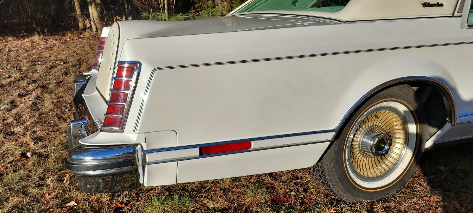 Lincoln-Continental-1979-3