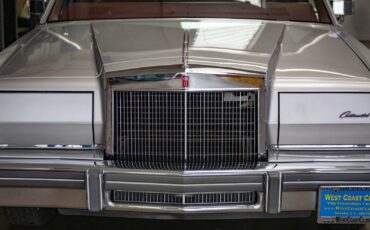 Lincoln-Continental-Mark-VI-1980-2-Door-Coupe-14