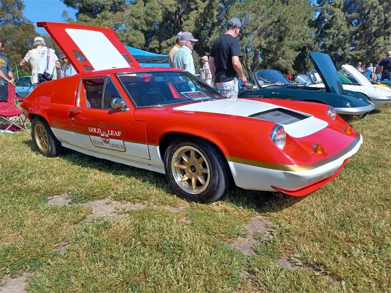 Lotus-Other-1970