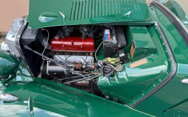 MG-T-Series-1952-15