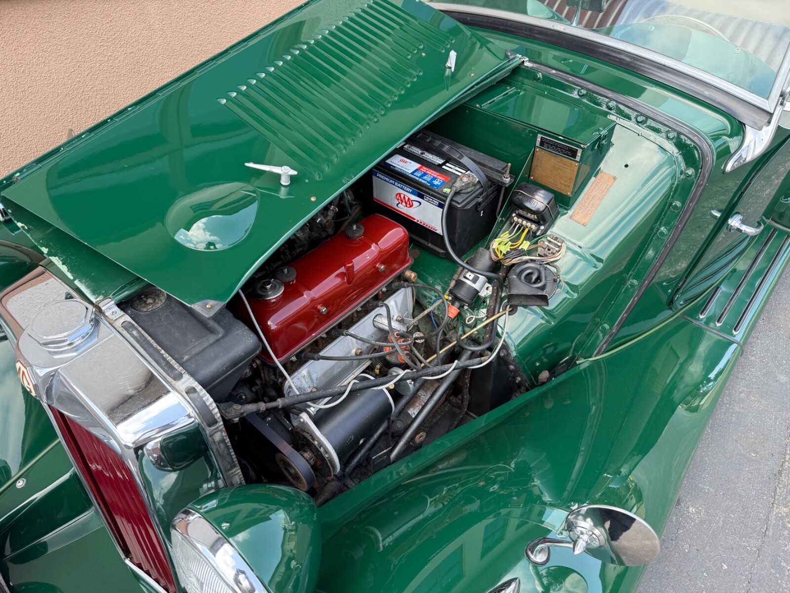 MG-T-Series-1952-16