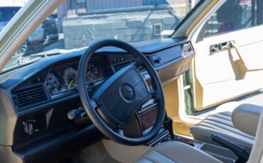 Mercedes-Benz-190-Series-1989-Sedan-8