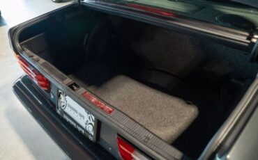 Mercedes-Benz-190E-Evolution-II-1991-Sedan-25