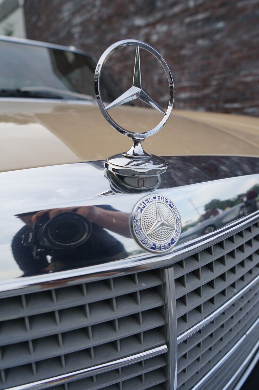 Mercedes-Benz-200-Series-1975-Coupe-23