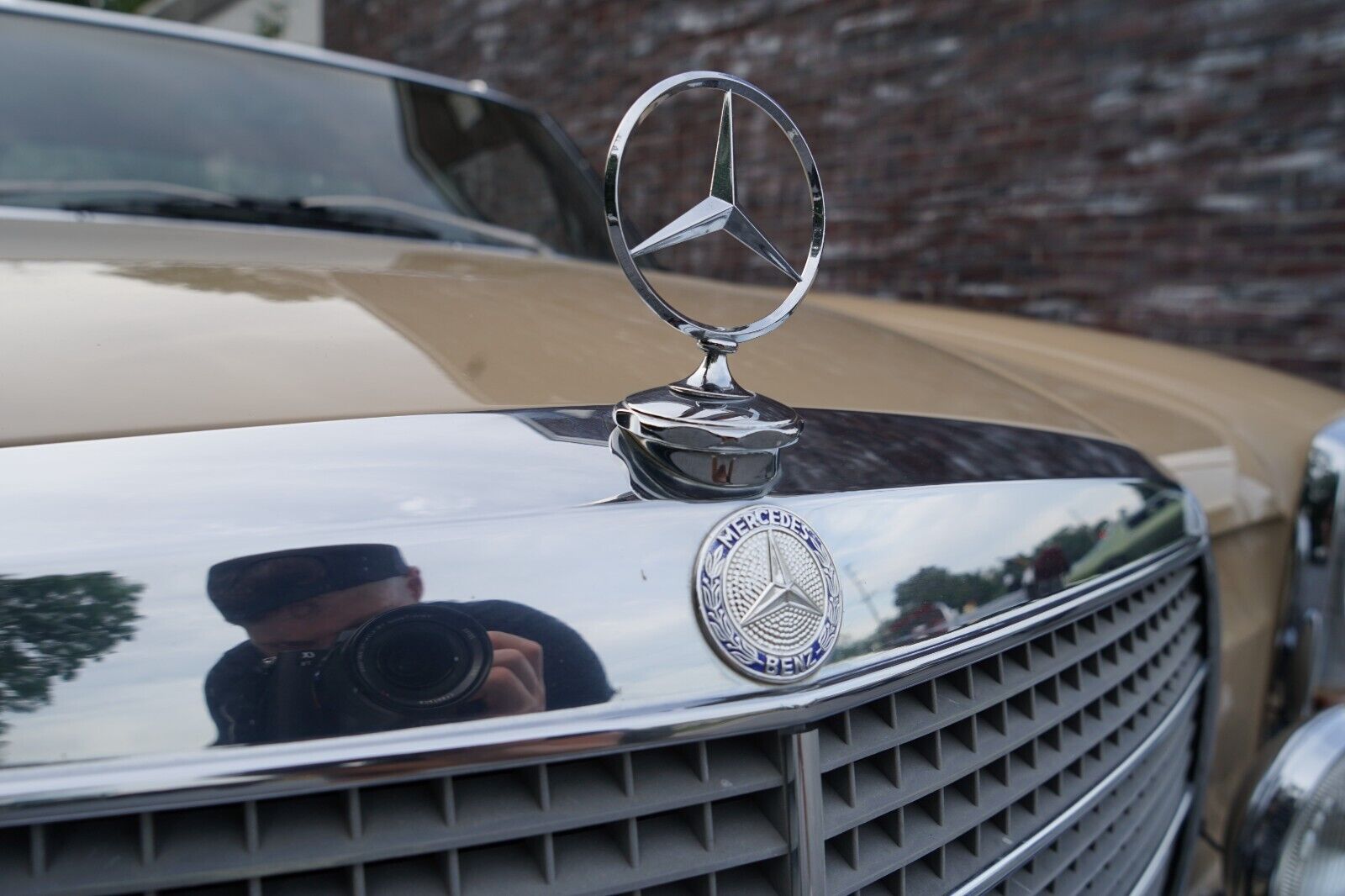 Mercedes-Benz-200-Series-1975-Coupe-24