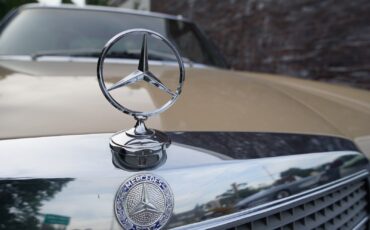 Mercedes-Benz-200-Series-1975-Coupe-26