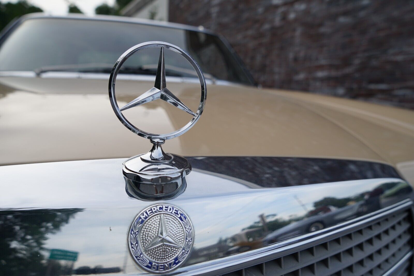 Mercedes-Benz-200-Series-1975-Coupe-26