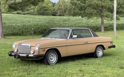 Mercedes-Benz 200-Series 1976 Coupe