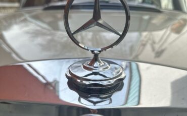 Mercedes-Benz-230-1966-5