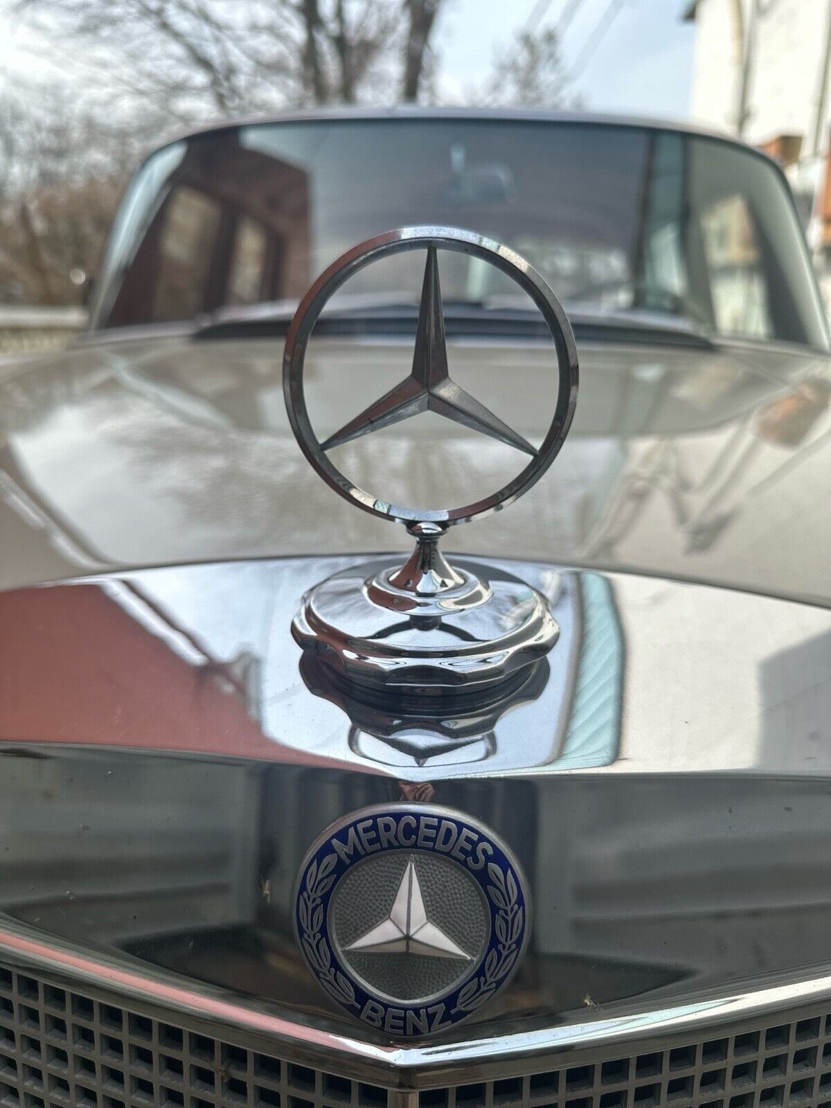 Mercedes-Benz-230-1966-5