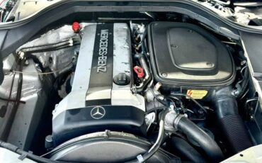 Mercedes-Benz-300-SE-1992-Sedan-30