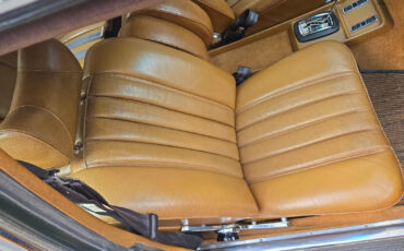 Mercedes-Benz-300-Series-1969-Sedan-23