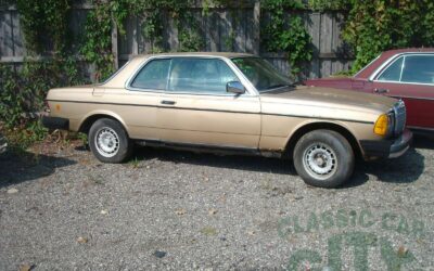 Mercedes-Benz 300-Series 1985 Coupe