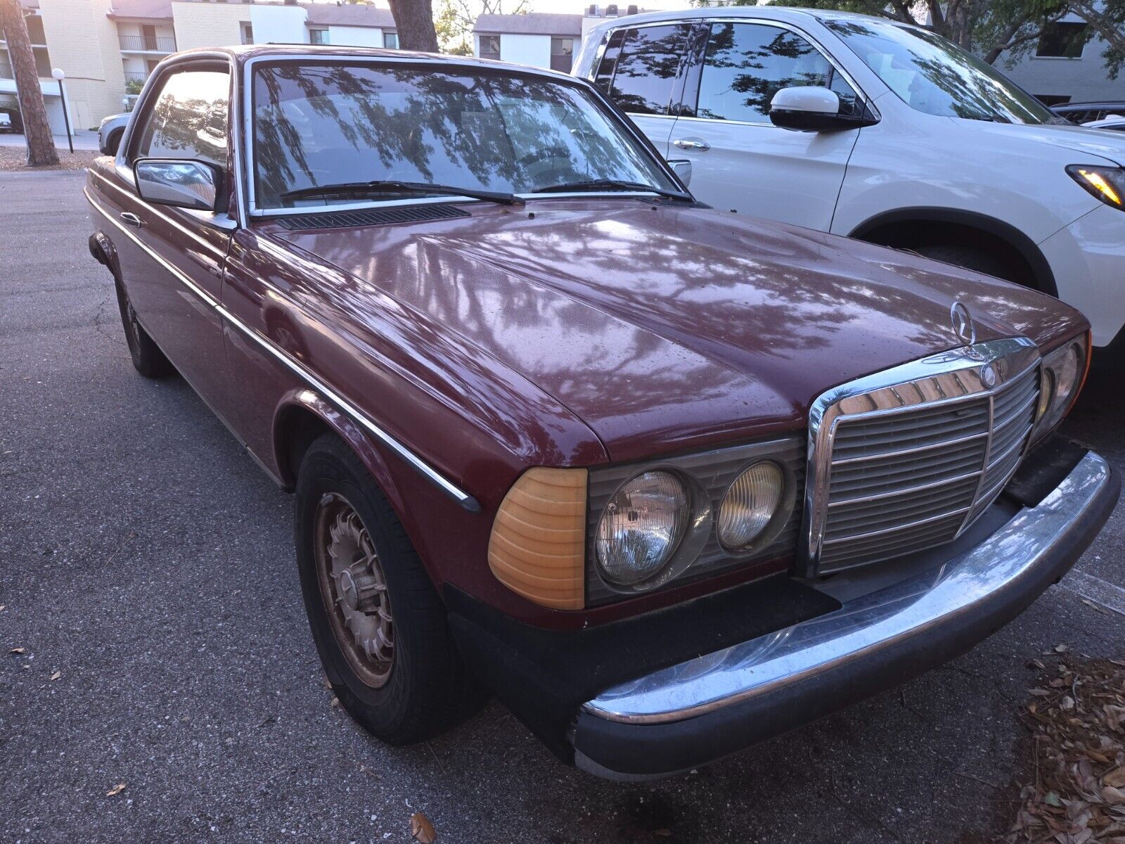 Mercedes-Benz-300CD-1983-Coupe-1