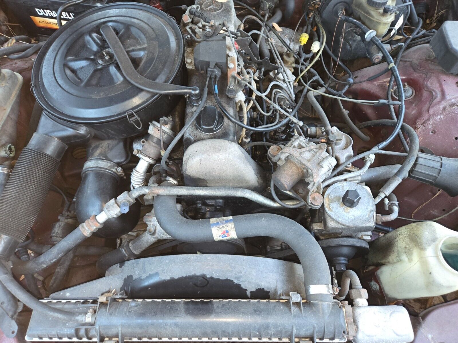 Mercedes-Benz-300CD-1983-Coupe-18