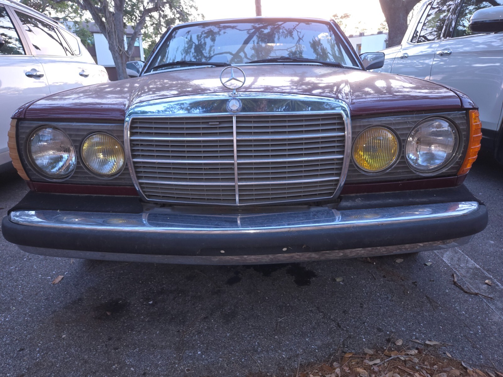 Mercedes-Benz-300CD-1983-Coupe-4