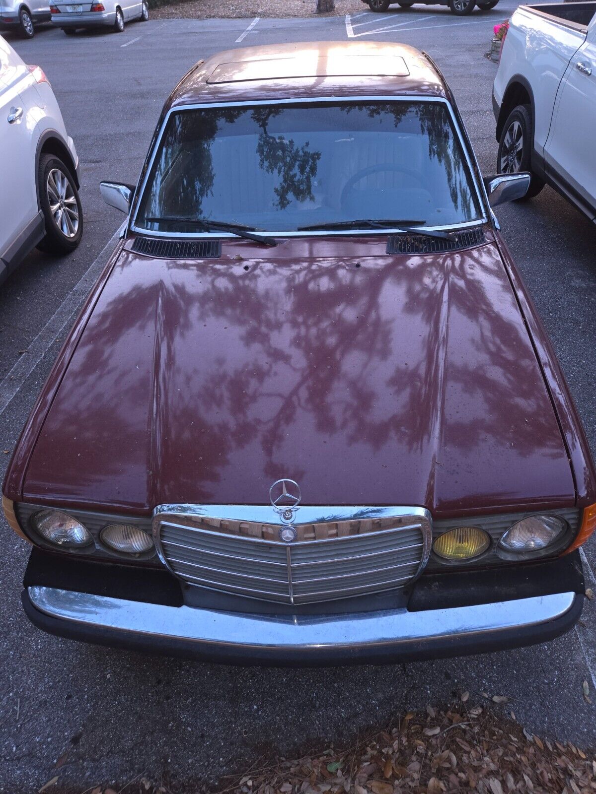 Mercedes-Benz-300CD-1983-Coupe-5
