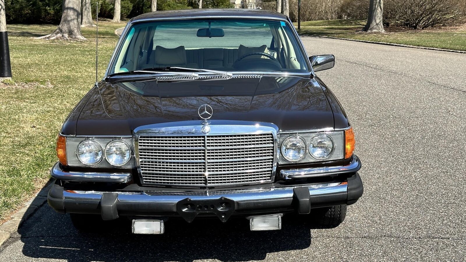 Mercedes-Benz-400-Series-1974-SEDAN-33
