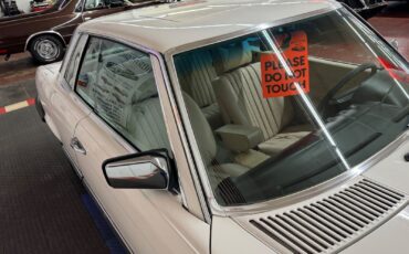 Mercedes-Benz-400-Series-1977-10