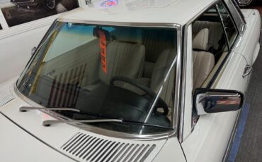 Mercedes-Benz-400-Series-1977-9
