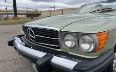 Mercedes-Benz-450-SL-Convertible-1976-Convertible-14