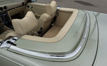 Mercedes-Benz-450-SL-Convertible-1976-Convertible-37