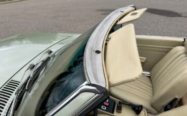 Mercedes-Benz-450-SL-Convertible-1976-Convertible-38
