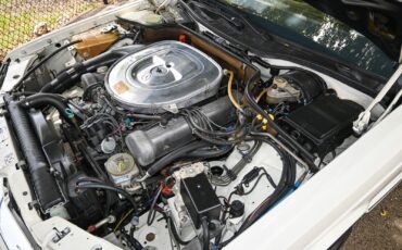 Mercedes-Benz-500-Series-1985-2D-14