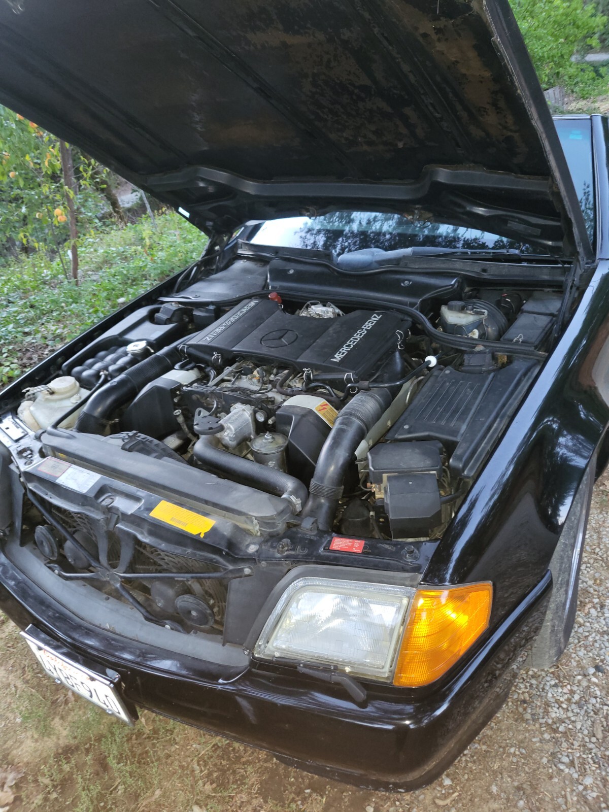 Mercedes-Benz-500-Series-1992-Convertible-6
