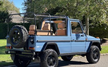 Mercedes-Benz-G-Class-1990-Convertible-16