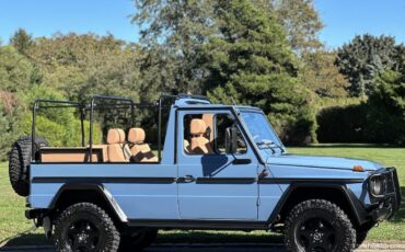 Mercedes-Benz-G-Class-1990-Convertible-25