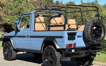 Mercedes-Benz-G-Class-1990-Convertible-38
