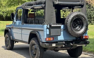 Mercedes-Benz-G-Class-1993-Convertible-29
