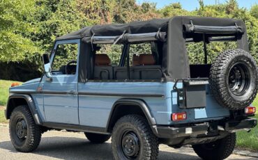 Mercedes-Benz-G-Class-1993-Convertible-30