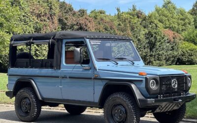 Mercedes-Benz G-Class 1993 Convertible