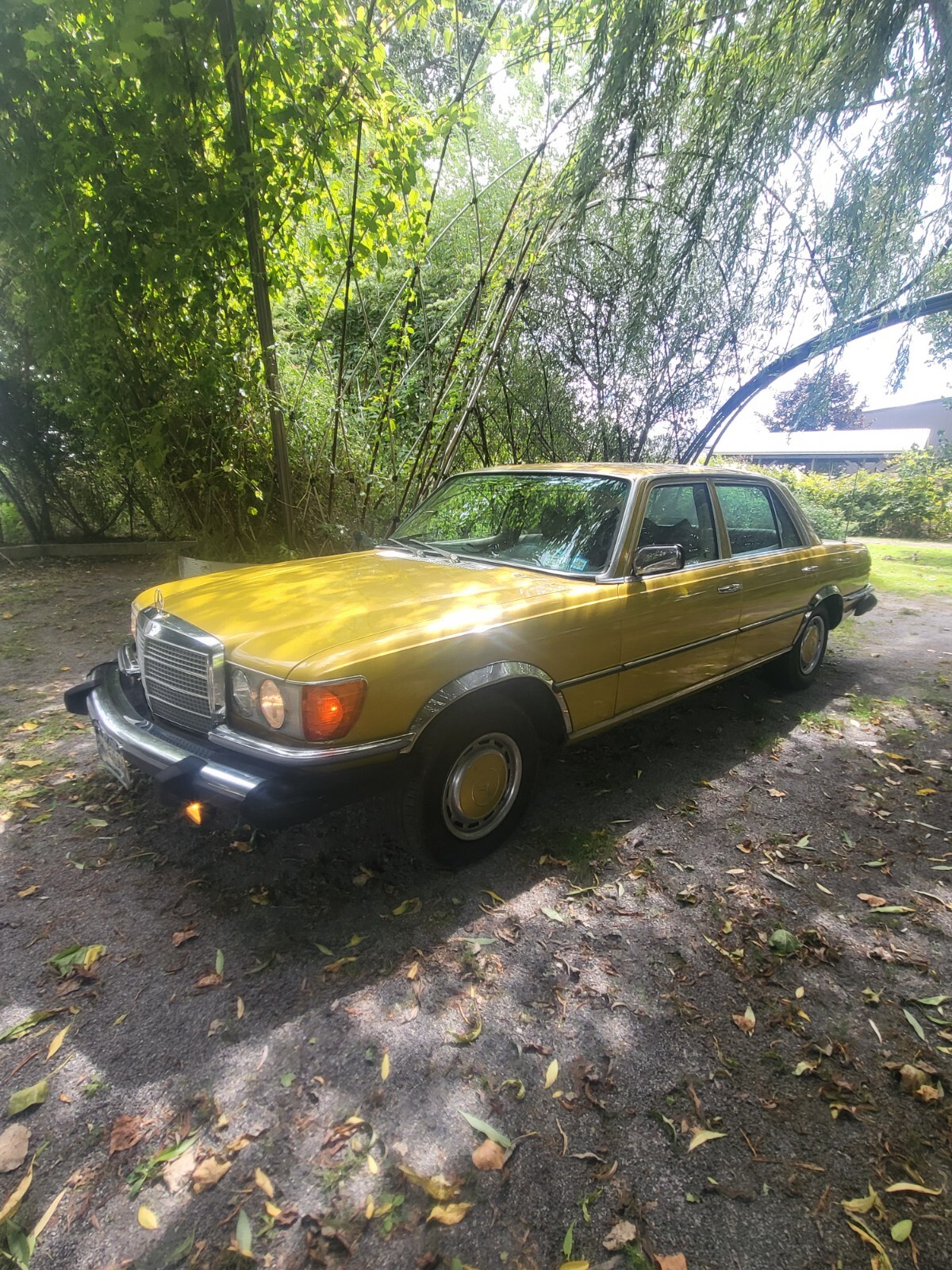 Mercedes-Benz-Other-1976-Sedan-1
