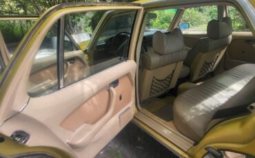 Mercedes-Benz-Other-1976-Sedan-10