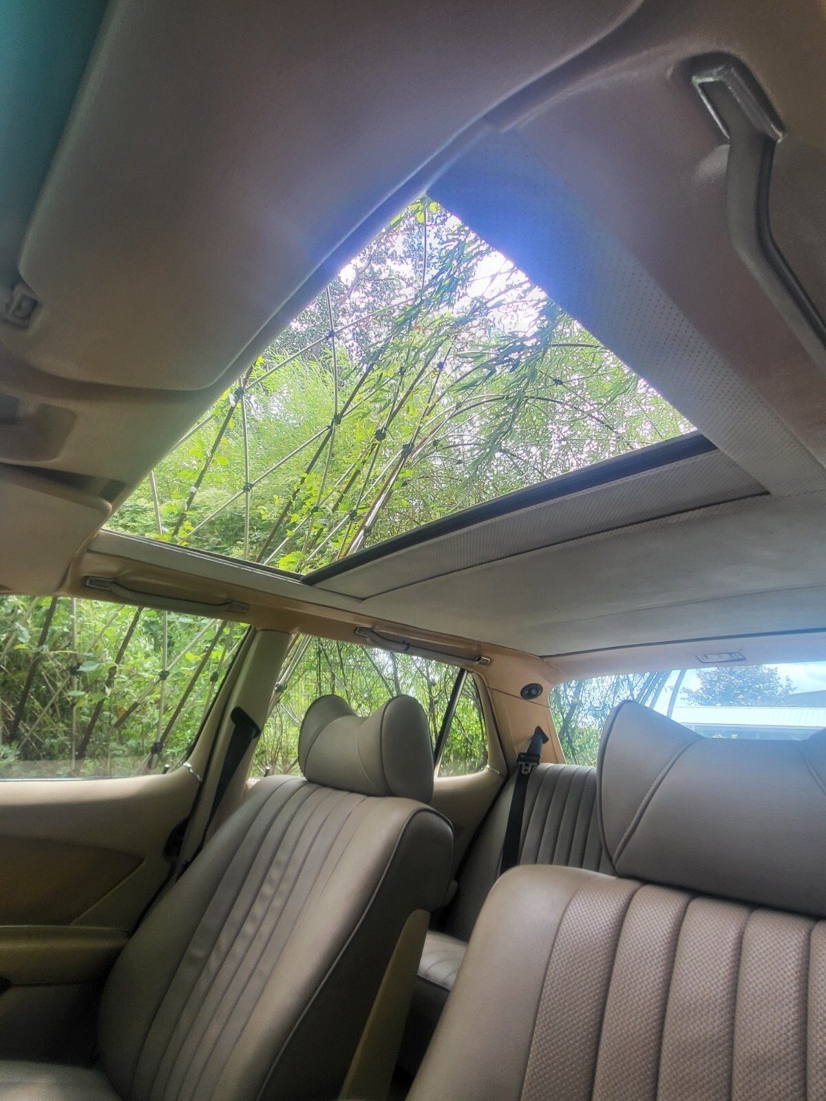 Mercedes-Benz-Other-1976-Sedan-13