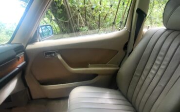 Mercedes-Benz-Other-1976-Sedan-14
