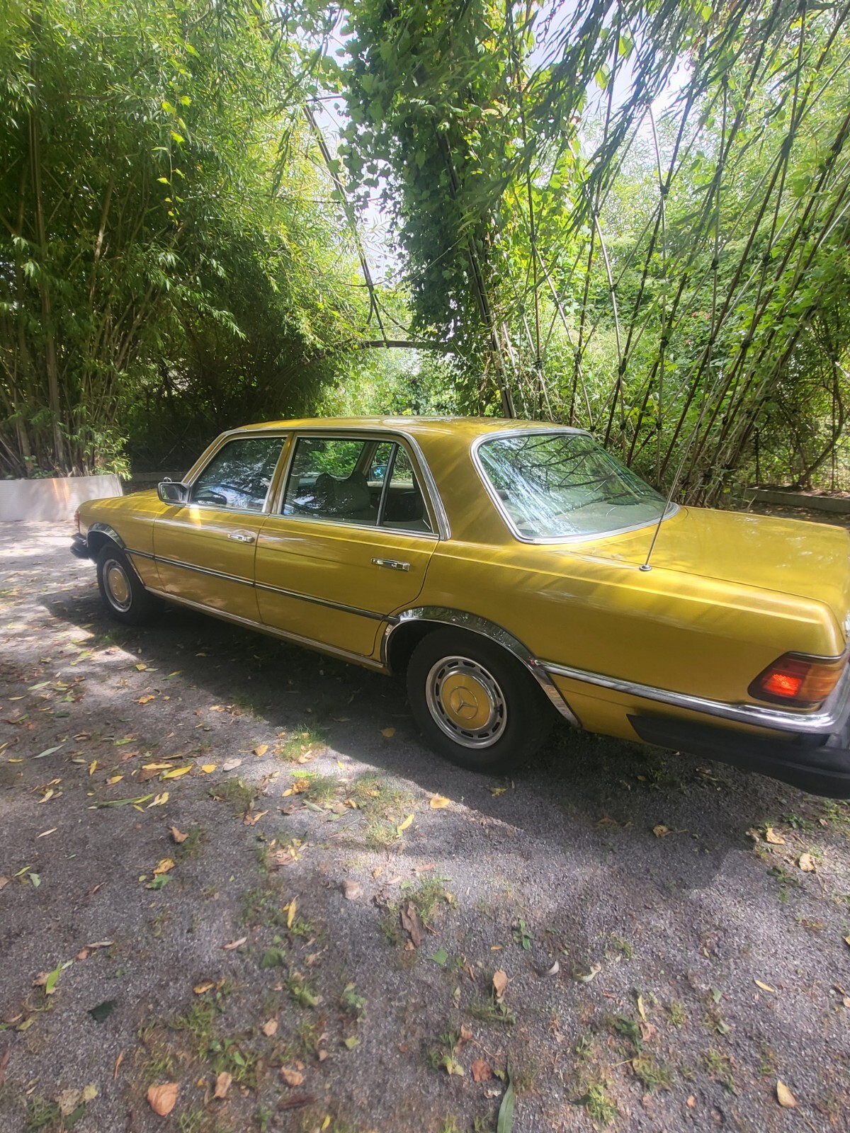 Mercedes-Benz-Other-1976-Sedan-2